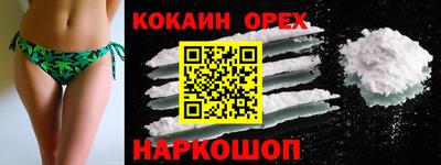 хмурый Кингисепп