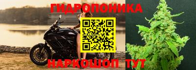 трава Кинель