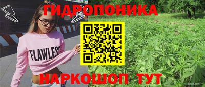хмурый Кингисепп