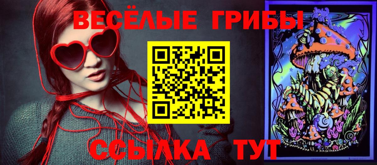 Лабинск  Галлюциногенные грибы Psilocybe  Псилоцибиновые грибы Psilocybe  Вход с VPN 